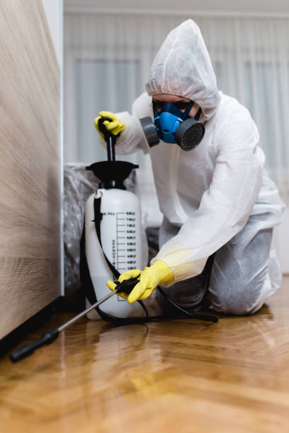 Best Bed Bug Extermination  in Princeton, TX